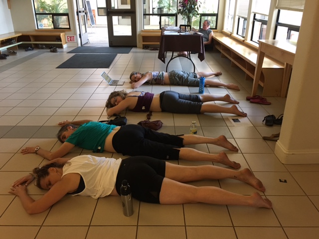 Do you want to be a Yoga Therapist? Day Two Do you want to be a Yoga Therapist? Day Two